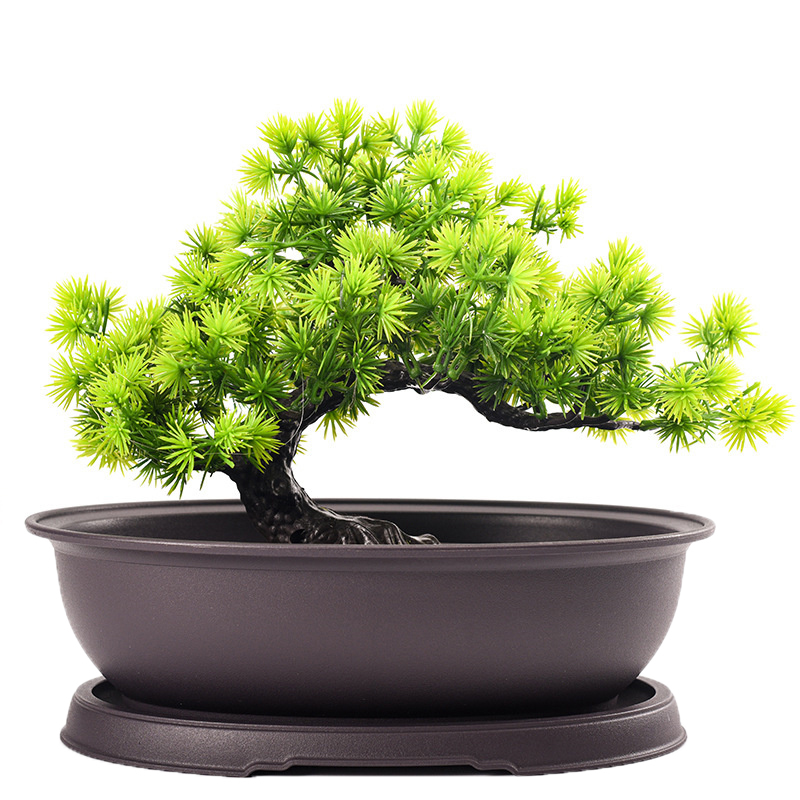 Bonsai Gardenia - 새로운【플라스틱 모조 퍼플 클레이 화분 정원