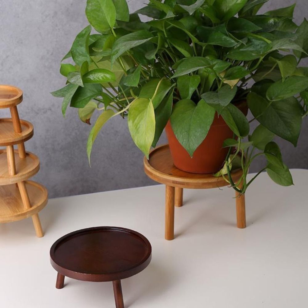 Bonsai Gardenia - 단단한 창의적인 다육식물 화분 홀더 홈
