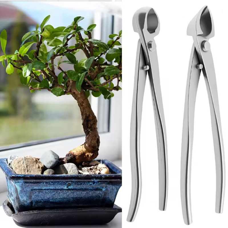 Bonsai Gardenia - 2개 세트 210mm 스테인리스 스틸 분재