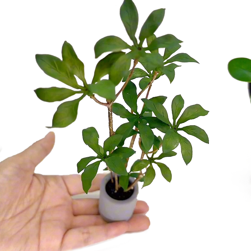 1:6 인형의 집 미니어처 화분 모델, 녹색 잎 식물  - Bonsai Gardenia 리뷰 및 가격