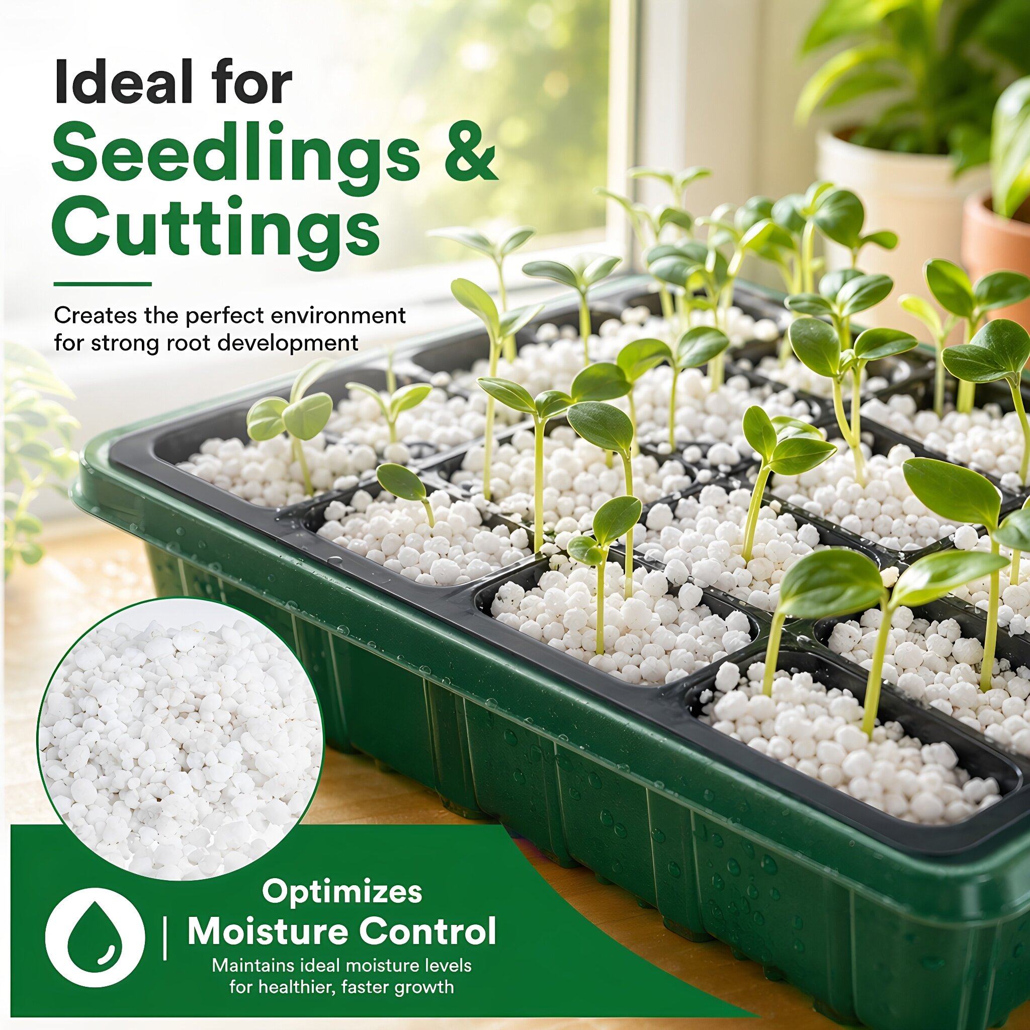 원예용 펄라이트 식물용 실내용 5쿼트 토양 통기 배수석 - Horticulture Soil Perlite 리뷰 및 가격