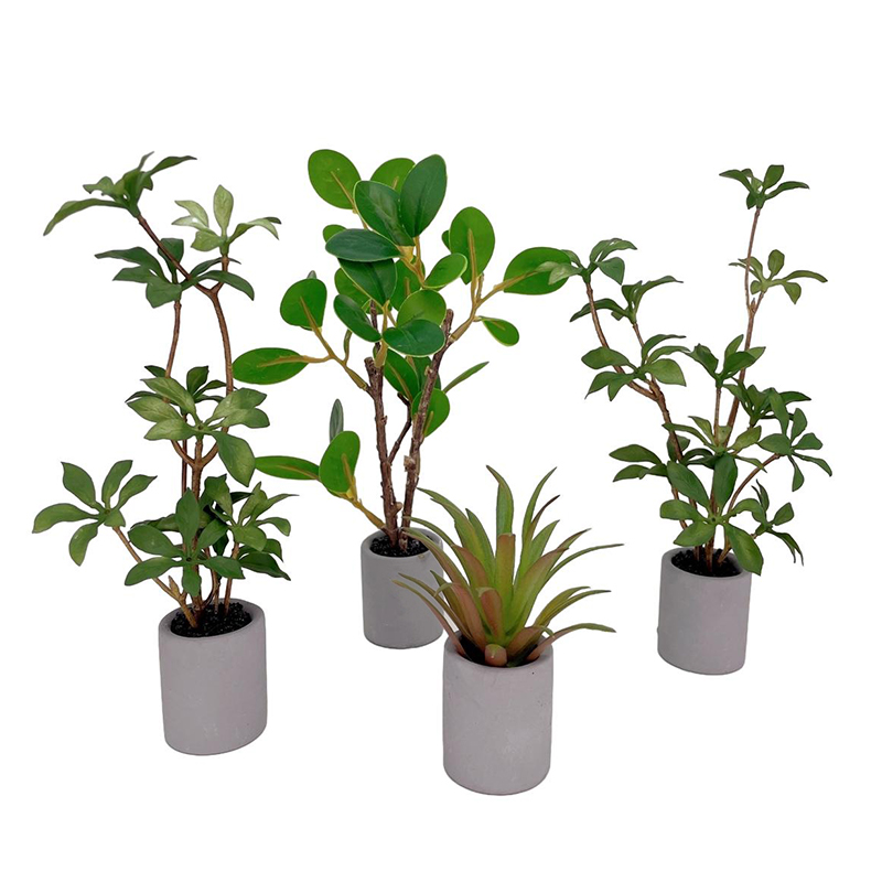 1:6 인형의 집 미니어처 화분, 녹색 잎 식물, 분재 - Bonsai Gardenia 리뷰 및 가격