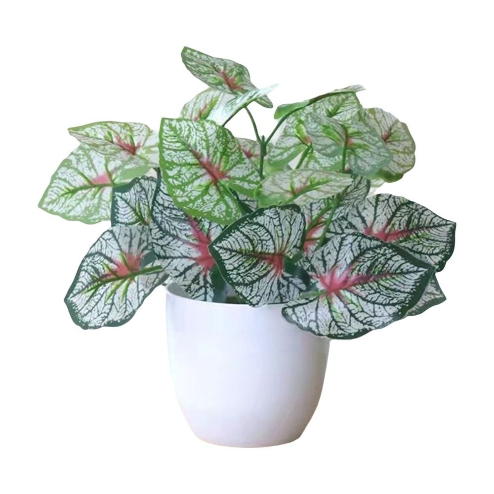 미니 가짜 화분 꽃 분재 테이블 장식 화분 장식품 가짜 - Bonsai Gardenia 리뷰 및 가격